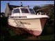Ange de mer 800 Kiri� - 1981