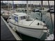 Fifty 21 Kiri� - 1980