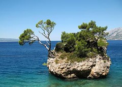 Location de bateaux avec �quipage